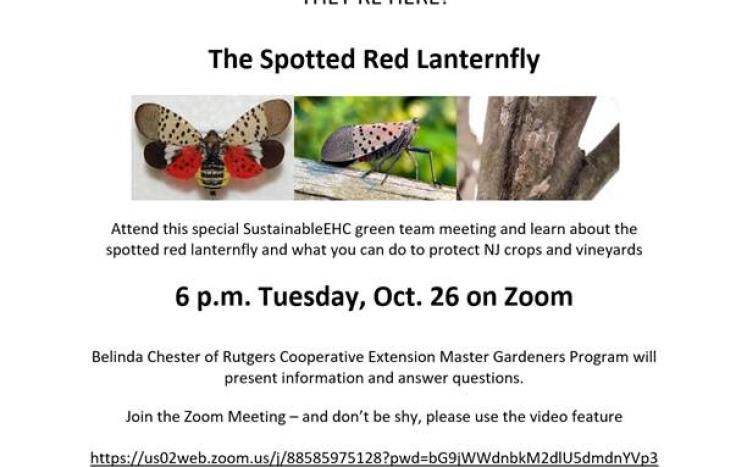 Spotted Lantern Zoom Meeting 10/26